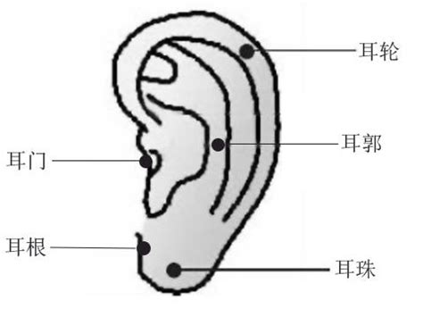 耳朵痣男|耳朵长痣的位置图解 耳朵长痣的位置图解有福气